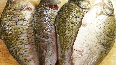 жареные караси