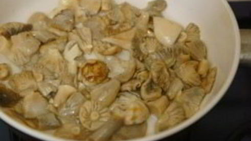 жареные лесные грибы