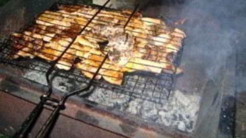 шашлык из форели на решетке