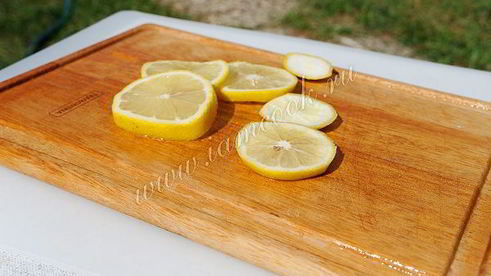 шашлык из куриной грудки