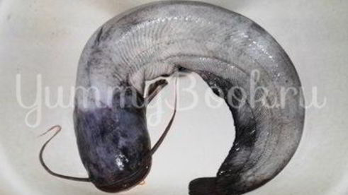 шашлык из сома в микроволновой печи