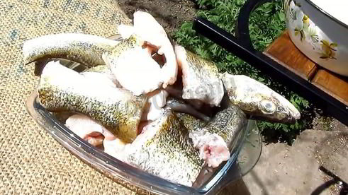 шашлык из судака