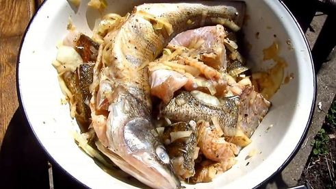 шашлык из судака