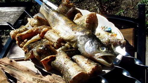 шашлык из судака