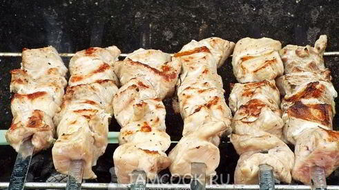 шашлык из свинины с лимоном и луком