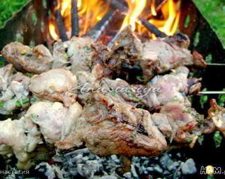 Шашлык из свинины в кефире с зеленым луком