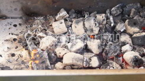 шашлык из свинины в томатном соусе