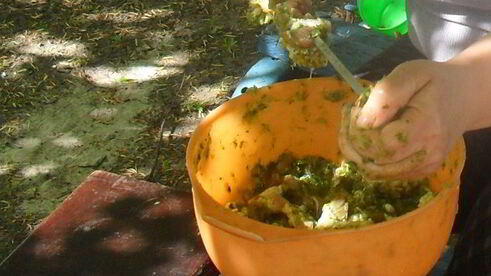 шашлык из свинины весенний аромат