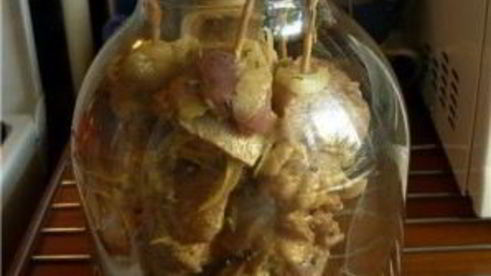 шашлык в духовке в банке