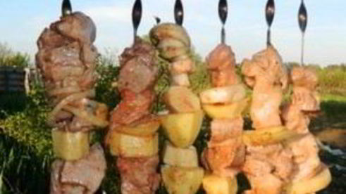 шашлык в коптильне