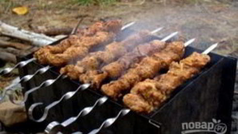 шашлык в уксусе