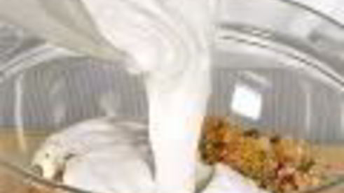 свиные шашлыки в кокосовой стружке