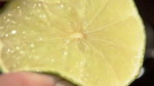 экзотический шашлык