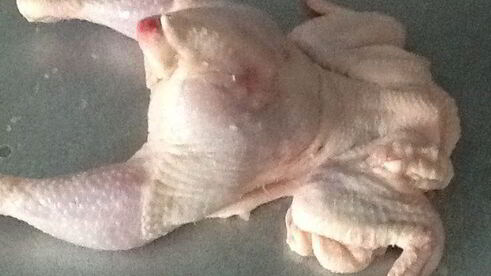 жаркое из курицы, праздничный кулич