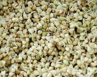 Пророщенная гречка