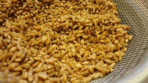 медовая кутья