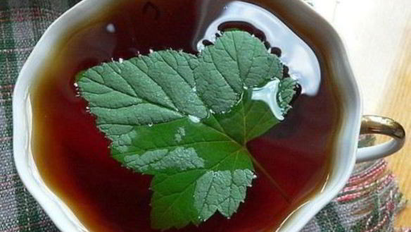 Рецепт Чай татарский со смородиной и медом