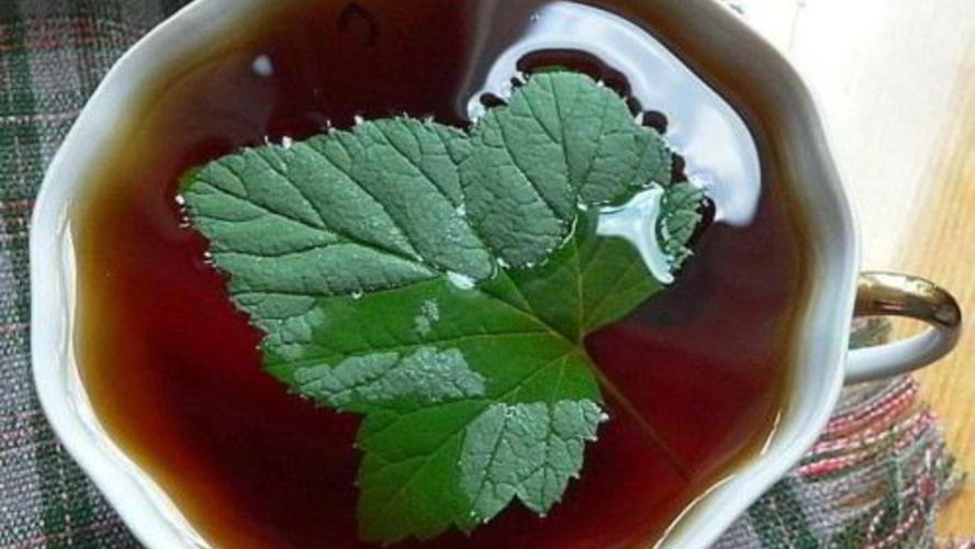 Рецепт чай татарский со смородиной и медом