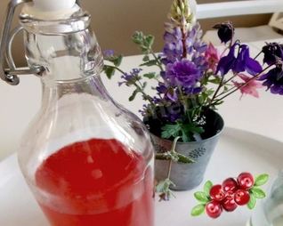 Домашнее брусничное вино из брусники