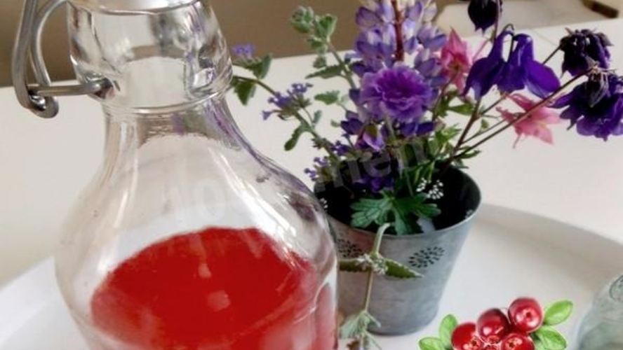 Рецепт домашнее брусничное вино из брусники