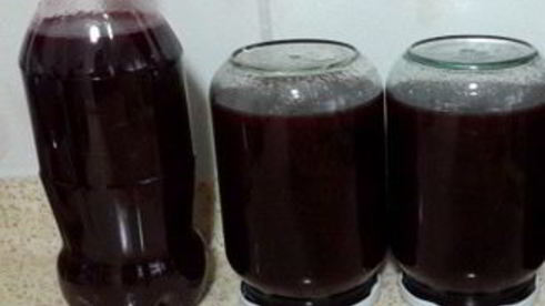 домашнее вино из сливы