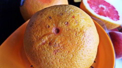 коктейль нежный нектар