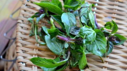 коктейль свекольно-томатный с сельдереем, базиликом и авокадо