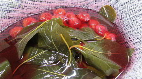 вишневая наливка