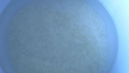 рисовый напиток с клубникой розовый жасмин