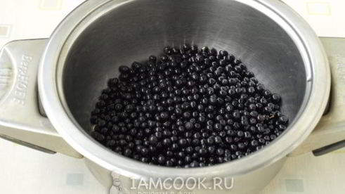 сироп из черной бузины