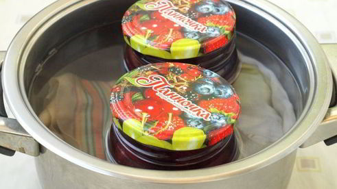 сливы в сиропе на зиму