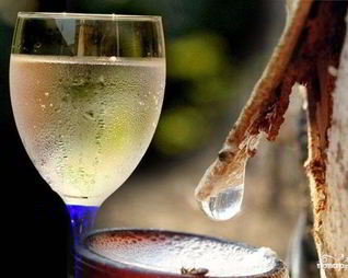 Вино из березового сока