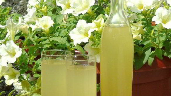 Рецепт Вино из одуванчиков