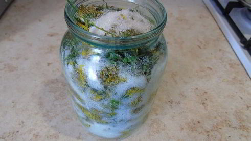 вино из одуванчиков