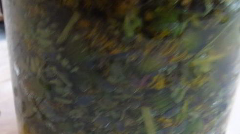 вино из одуванчиков