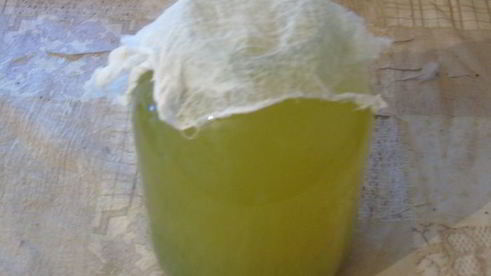 вино из одуванчиков