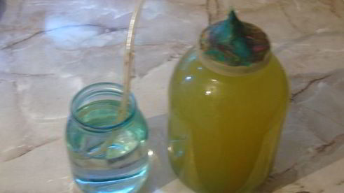 вино из одуванчиков