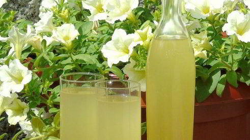 вино из одуванчиков