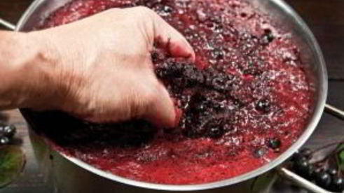 вино из рябины