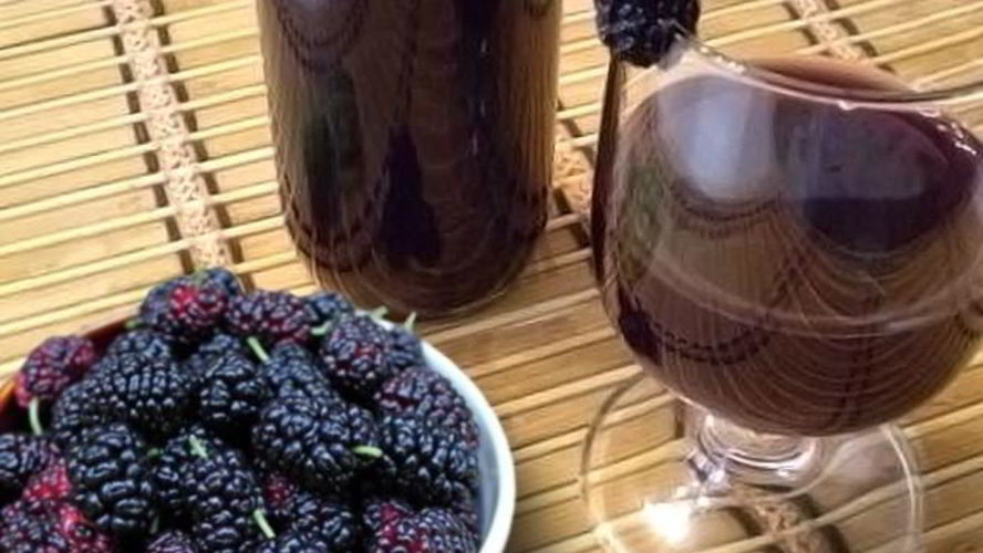 Рецепт вино из шелковицы