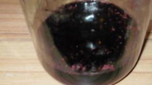 вино из шелковицы