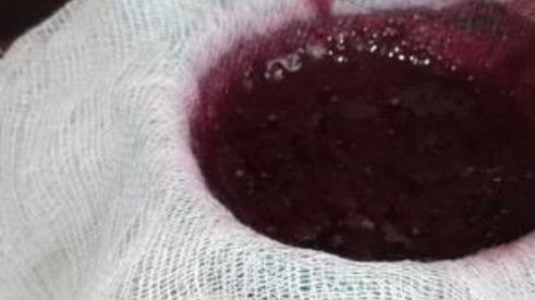 вино из шелковицы