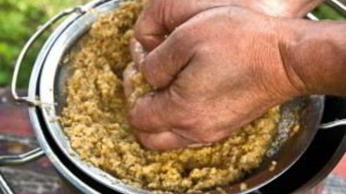 вино из яблок без дрожжей