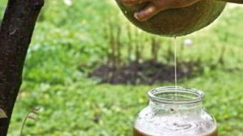 вино из яблок без дрожжей