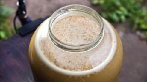 вино из яблок без дрожжей