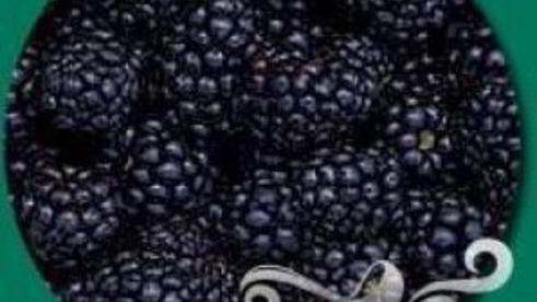 витаминный напиток черника