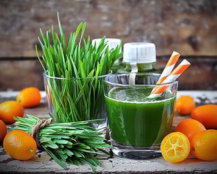 Энергетический коктейль из ростков пшеницы