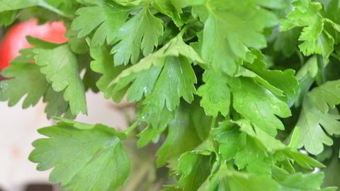 теплый картофельный салат с красным луком и оливками