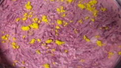 салат сельдь под шубой