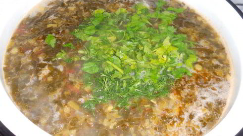 зеленый борщ с курицей и томатом